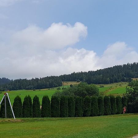 Pokoje Goscinne Budzowie Czarna Gora Exterior photo
